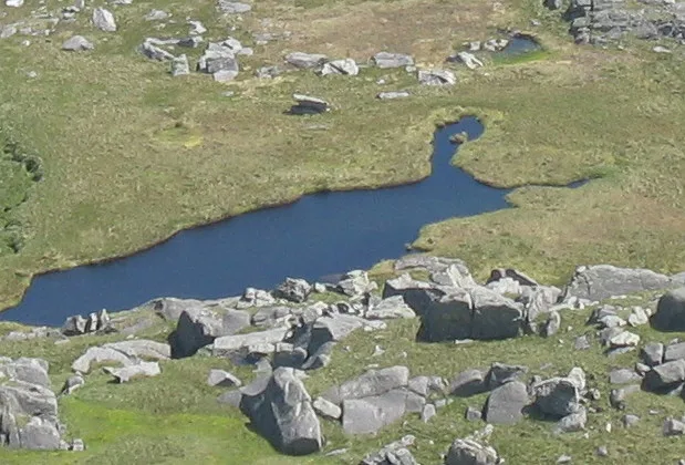 Llyn Llyffant