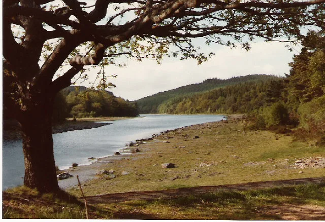 Llyn Parc
