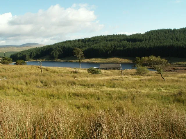 Llyn Plas-y-mynydd