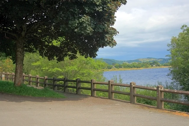 Llyn Tegid