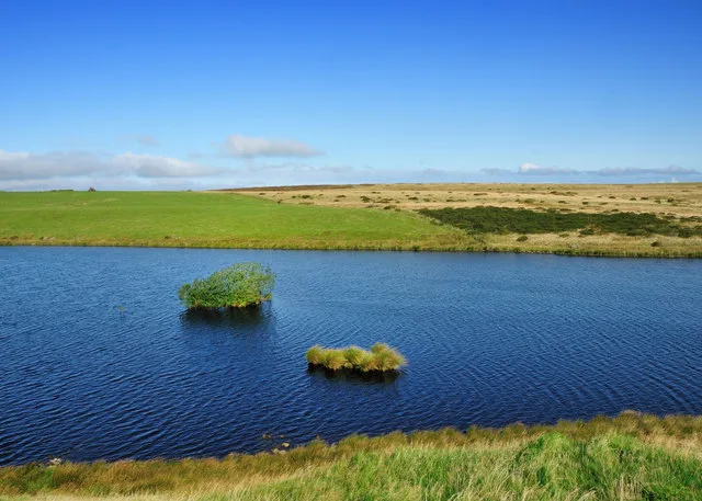 Llyn y Tarw
