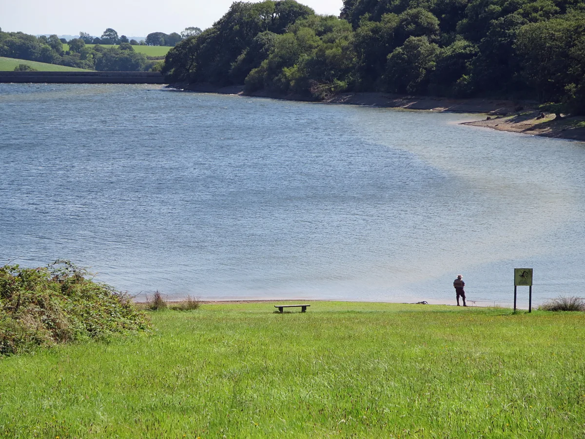 Llys-y-frân Reservoir