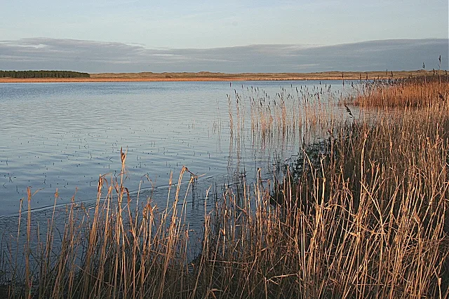 Loch of Strathbeg