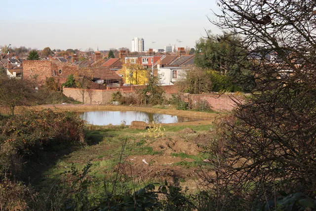 Long Lane Pasture