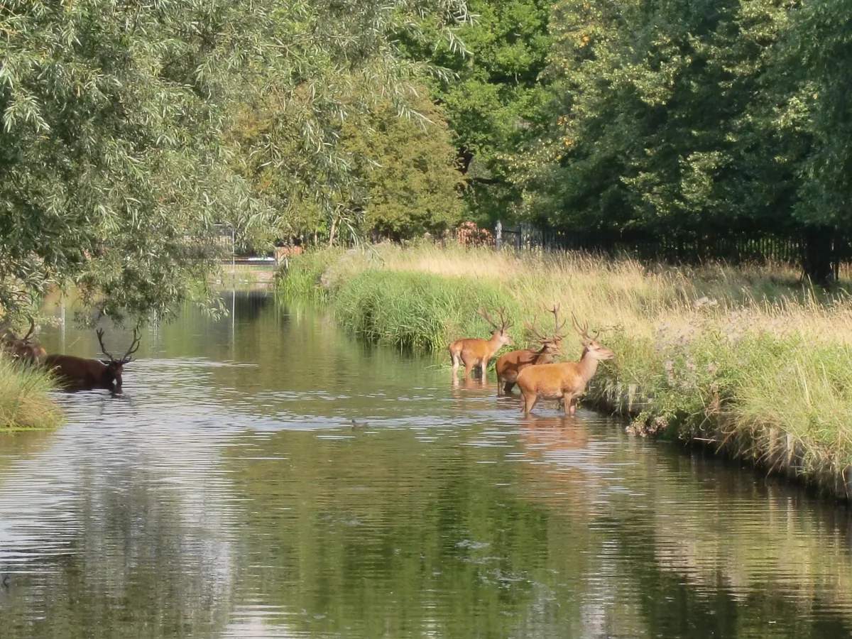 Longford River