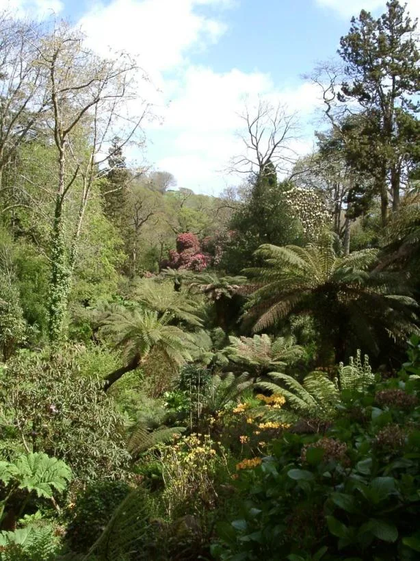 Lost Gardens of Heligan