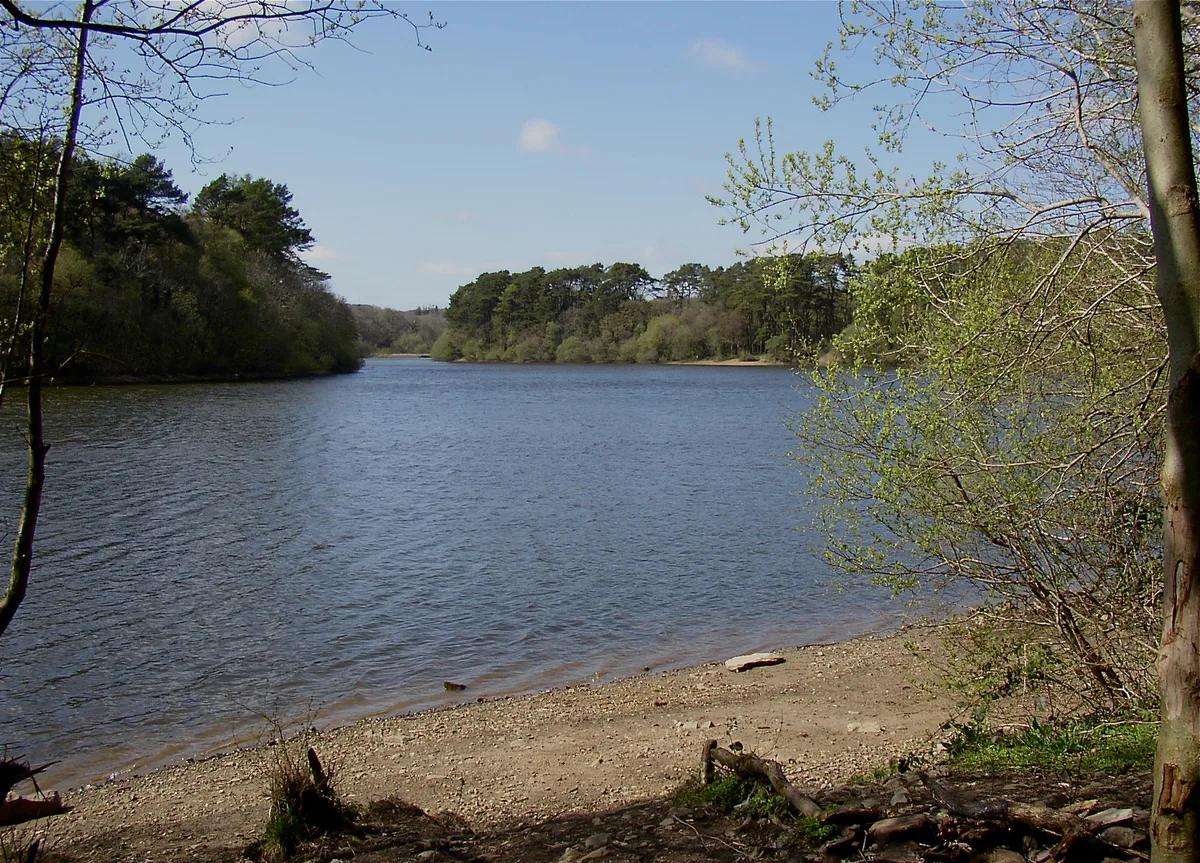 Lower Lliedi Reservoir