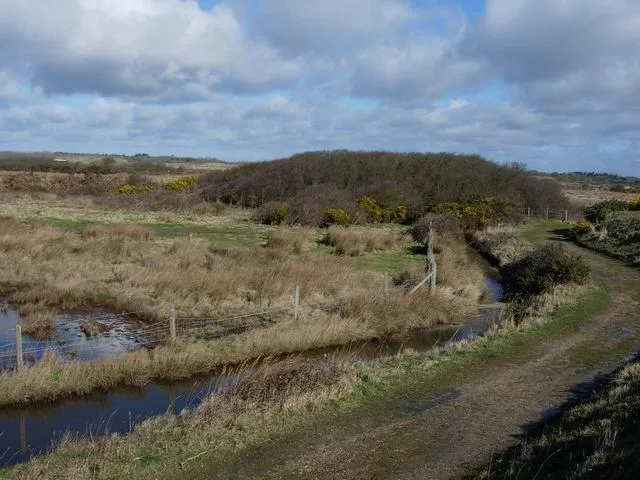 Lymington and Keyhaven Marshes Nature Reserve