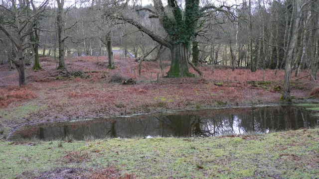 Lynchmere Commons