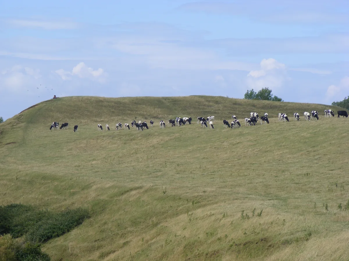 Maes Knoll Camp