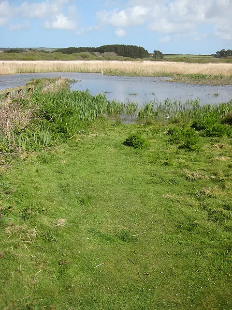 Marazion Marsh RSPB Reserve