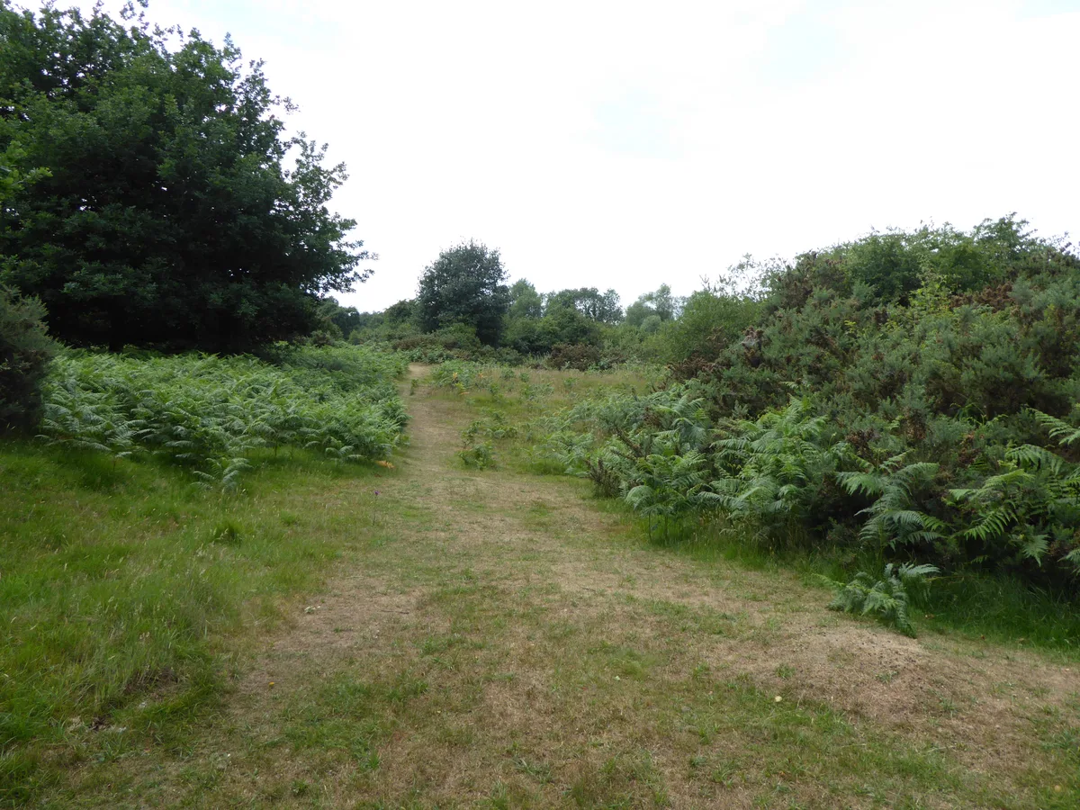 Market Weston Fen