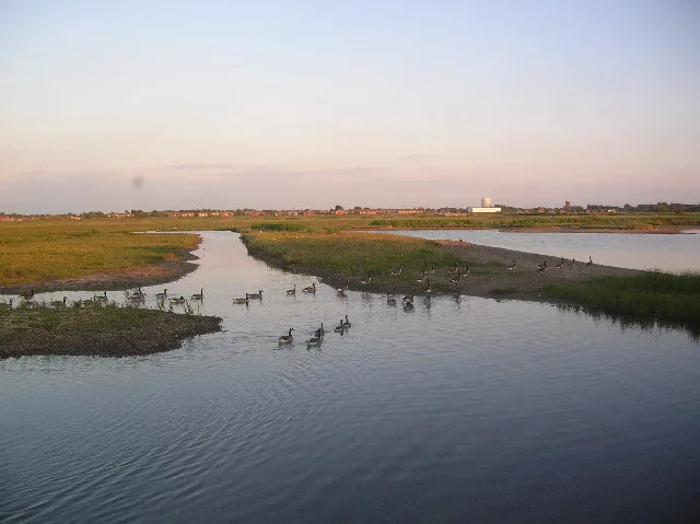Marshside RSPB reserve