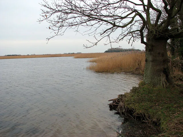 Martham Broad