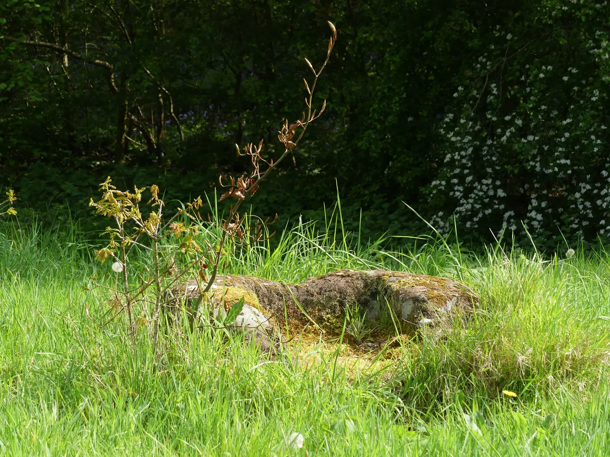 Marton moated monastic grange, three fishponds, connecting channels and base of stone cross