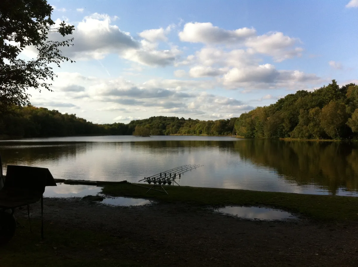 Medieval deerpark and other archaeological remains in Sutton Park