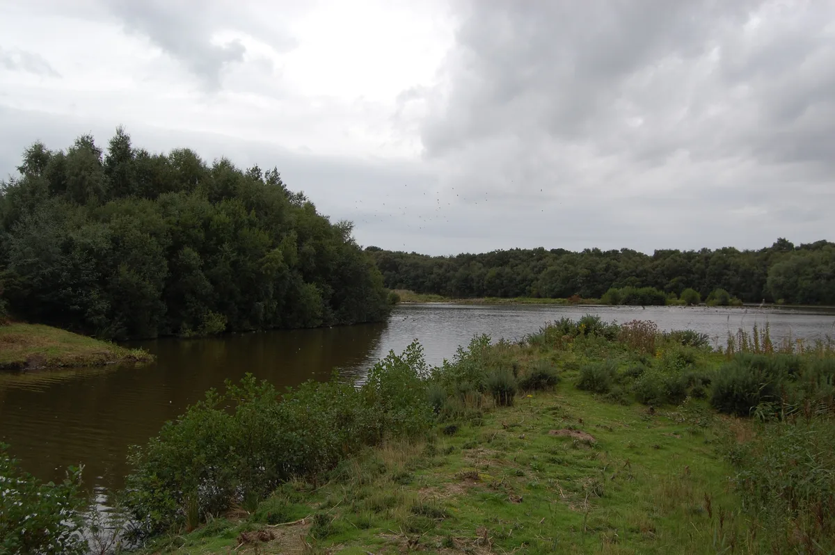 Mere Sands Wood