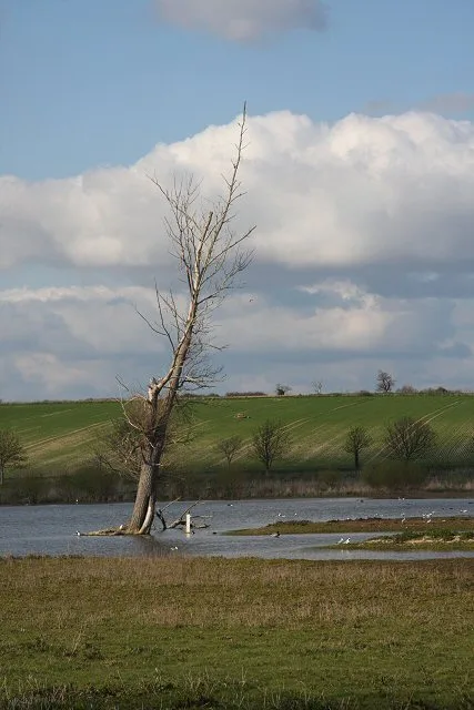 Mickle Mere