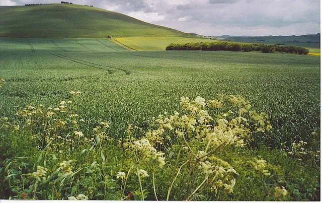 Milk Hill