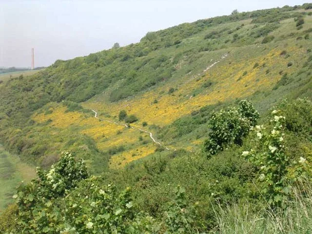 Mill Hill, Shoreham