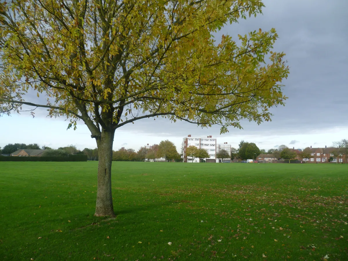 Milne Park