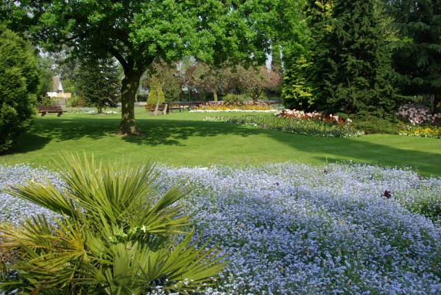 Miners' Welfare Park