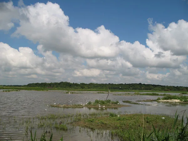 Minsmere Nature Reserve