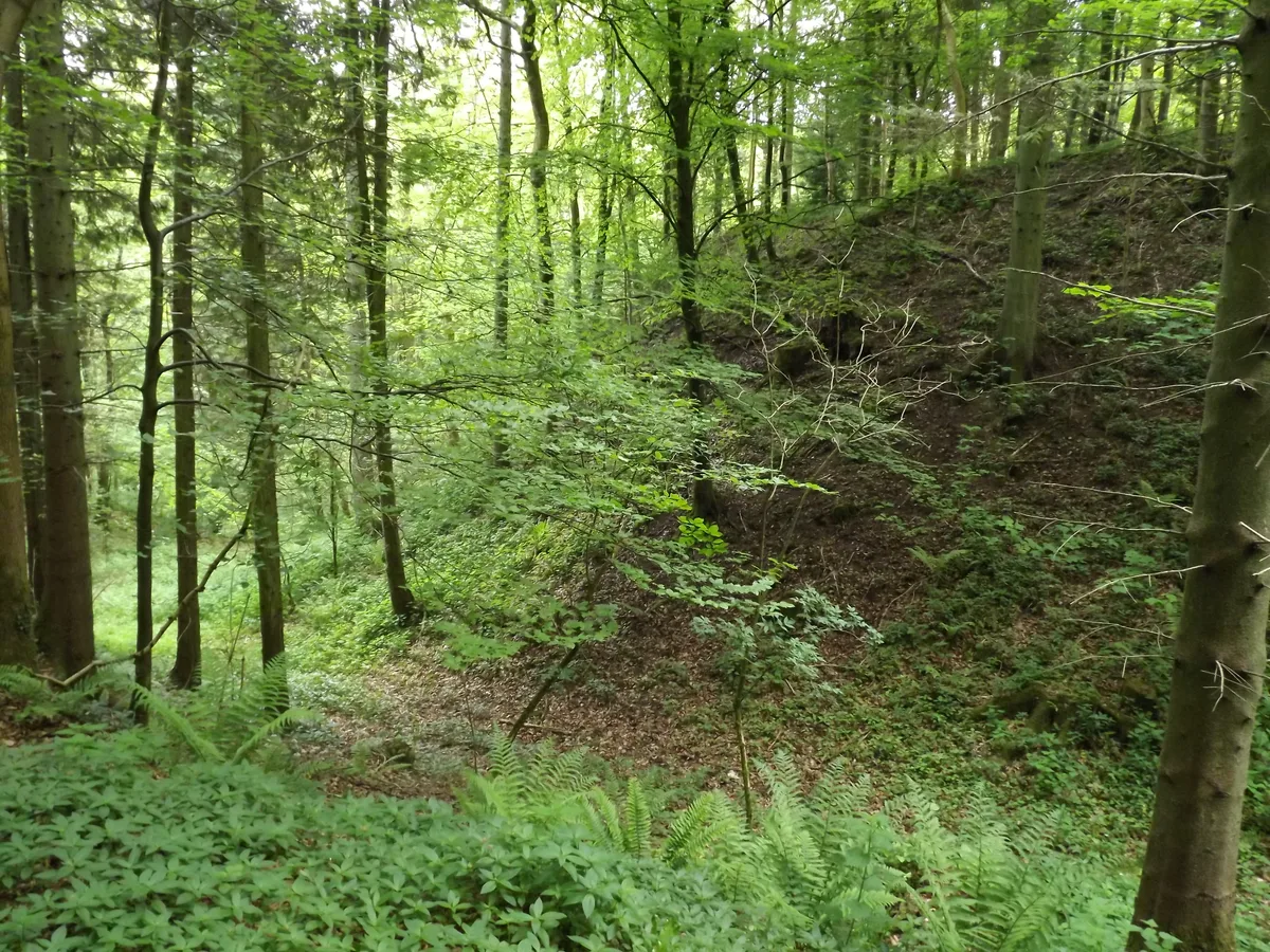 Miserden Castle