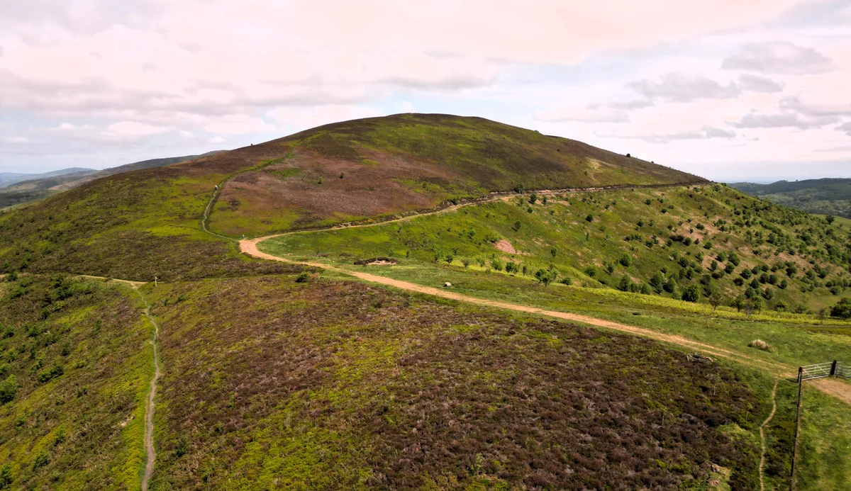 Moel Gyw