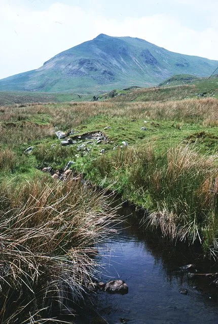 Moel Llyfnant