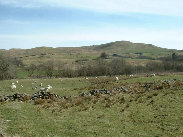 Moel Oernant