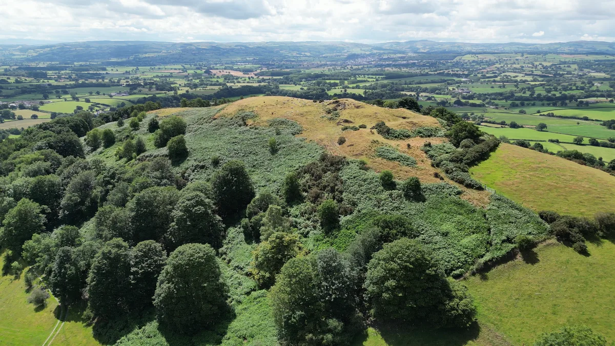Moel y Gaer, Bodfari