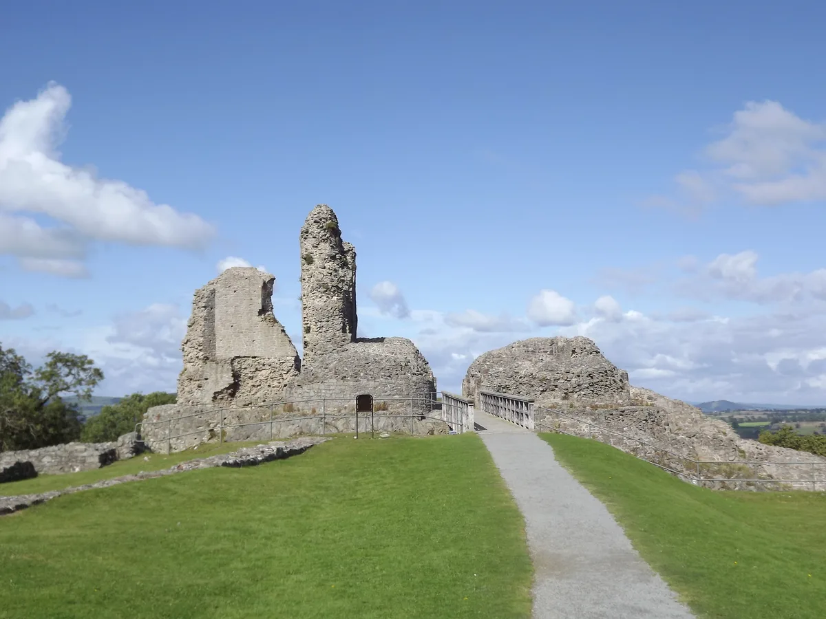 Montgomery Castle