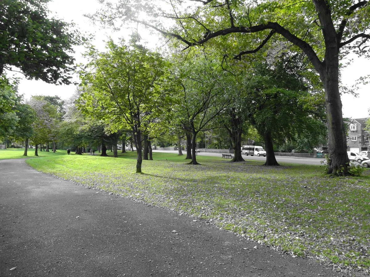 Moor Park