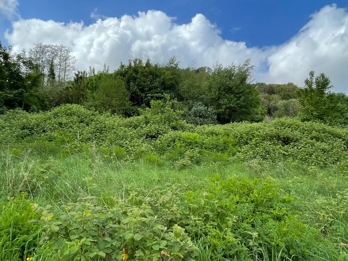 Morganstown Castle Mound