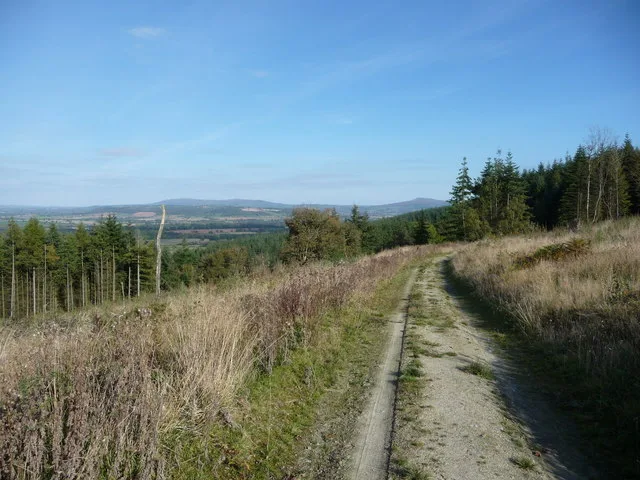 Mortimer Forest