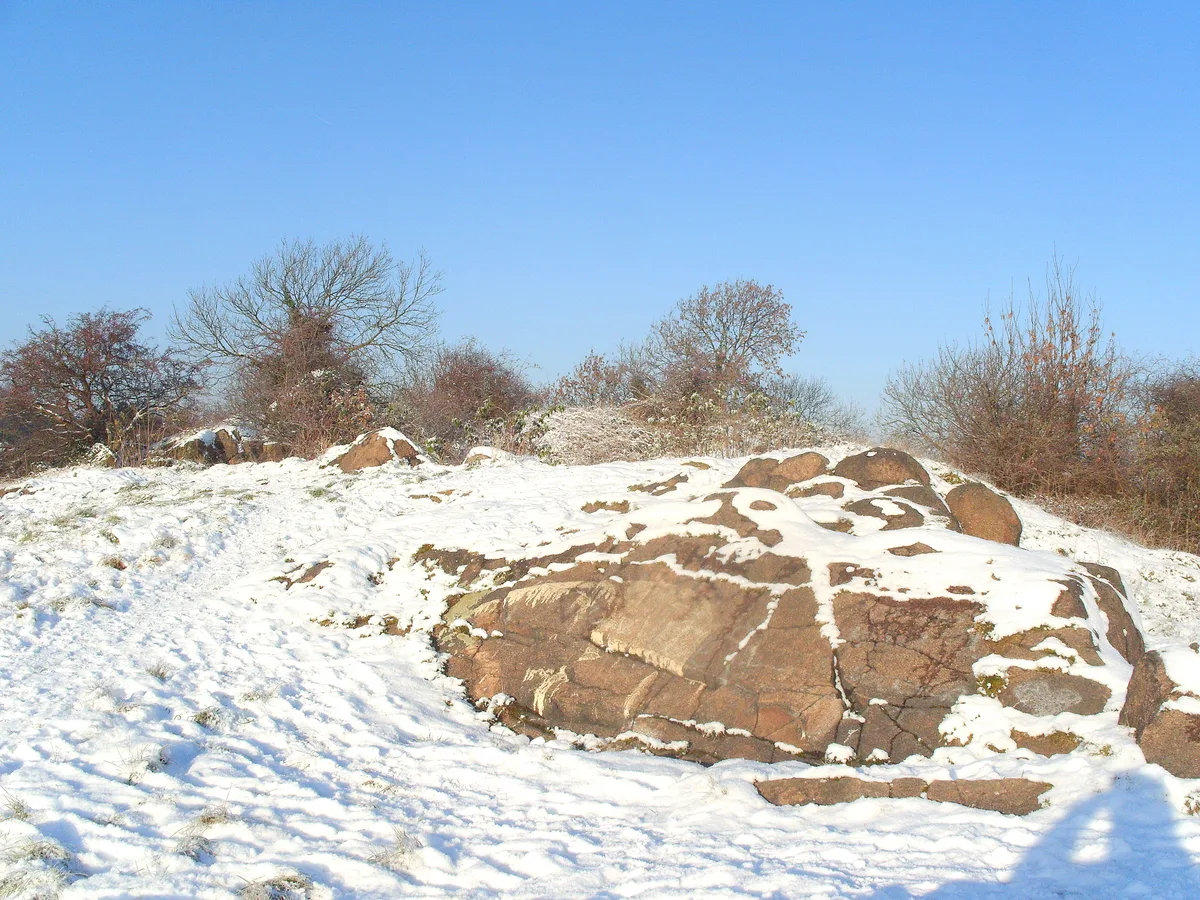 Mountsorrel Castle