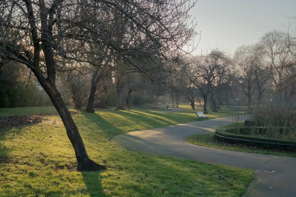 Myatt's Fields Park