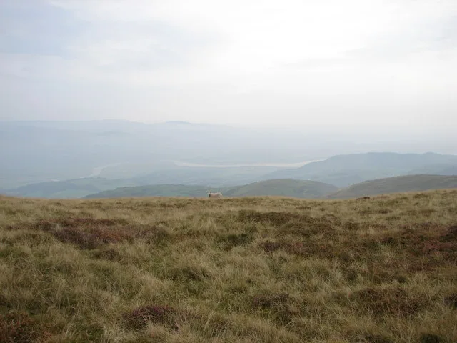 Mynydd Esgair Weddan