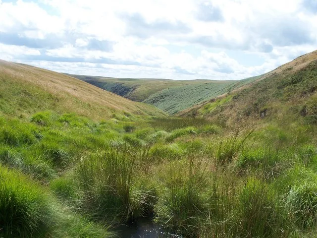 Mynydd Mallaen