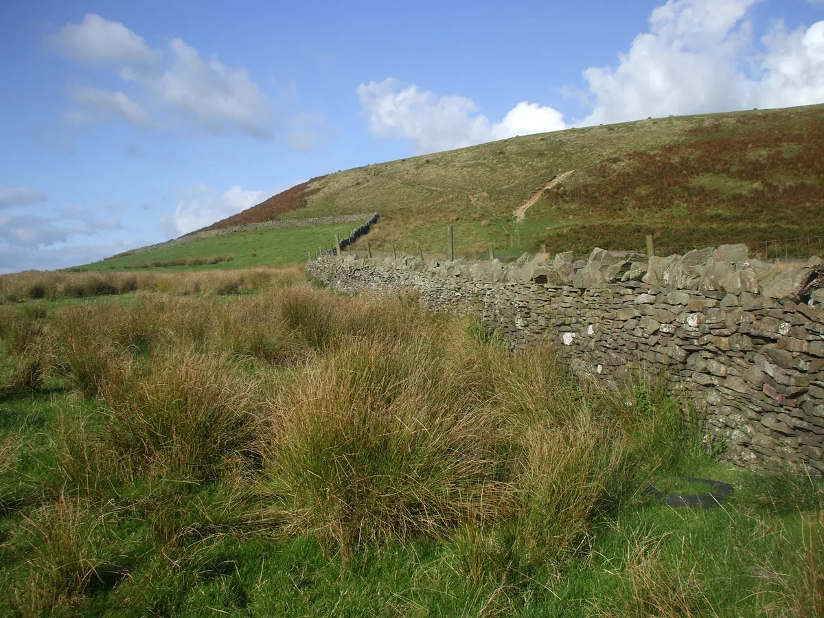 Mynydd Meio