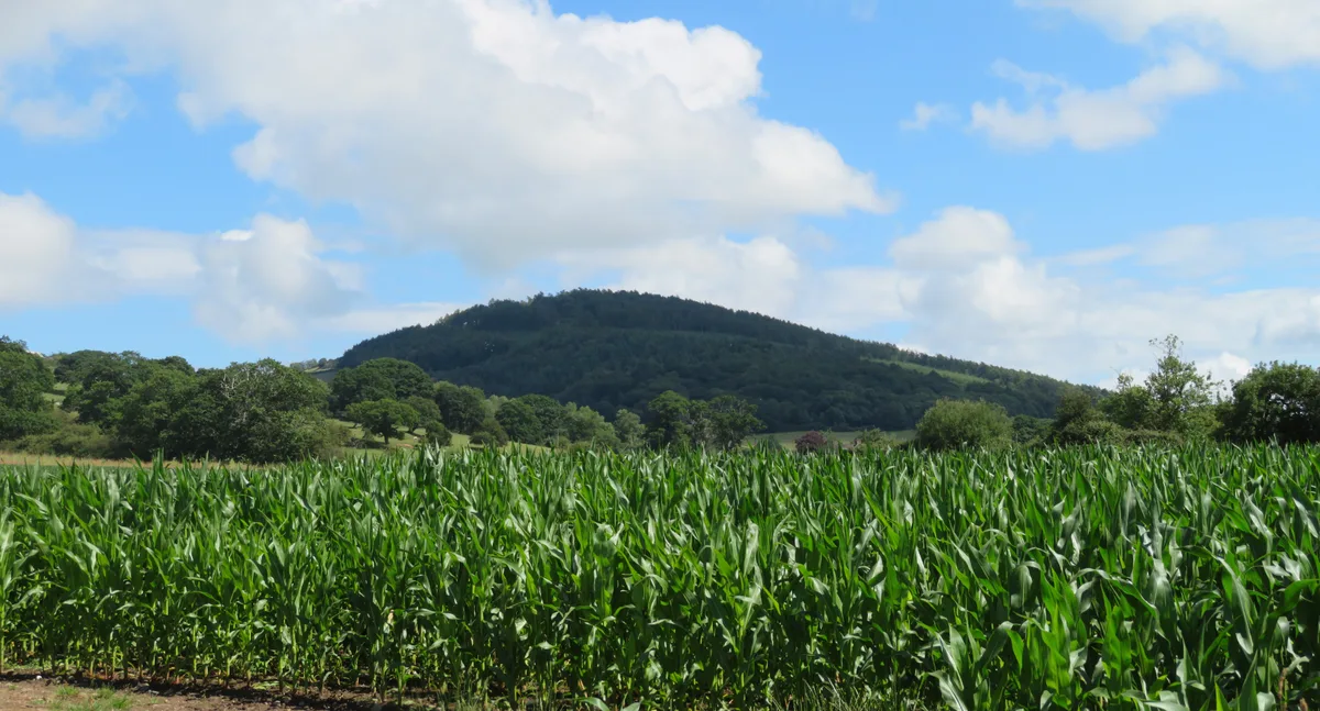 Mynydd Y Cwm