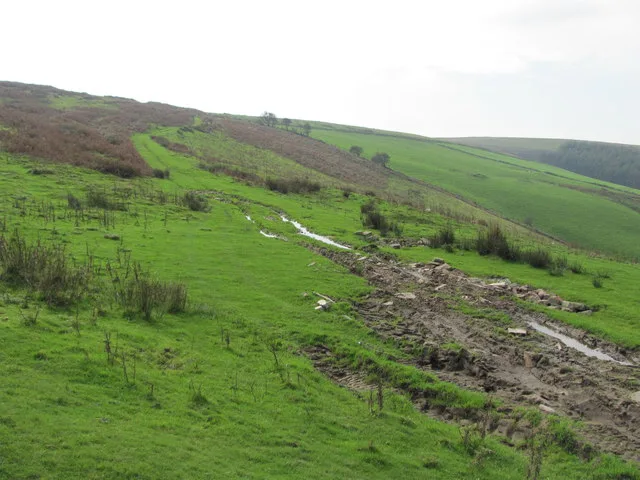 Mynydd Y Gaer