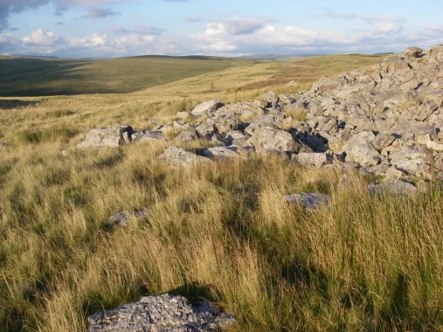 Mynydd-y-glog