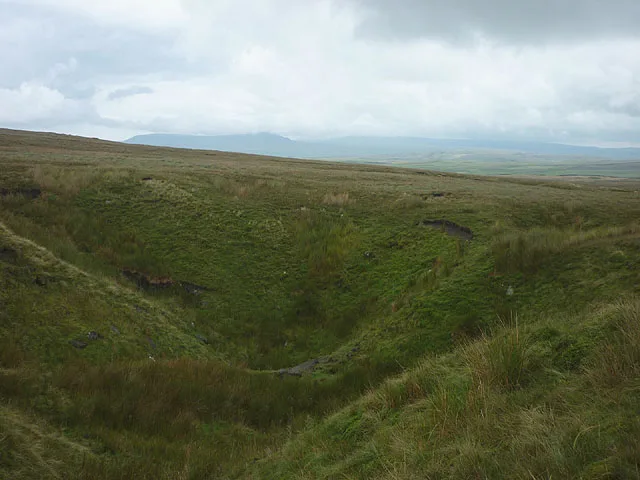 Newby Moss Pot