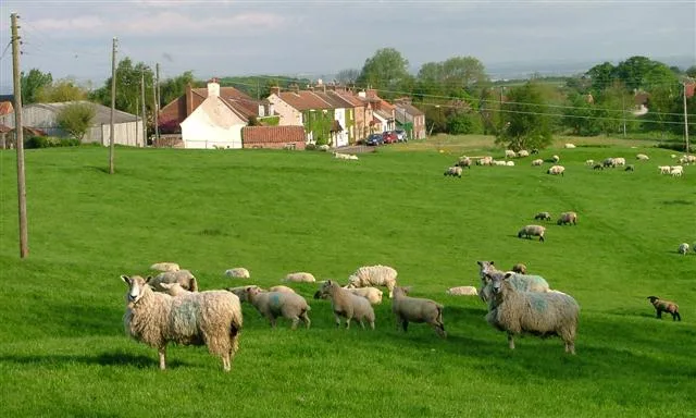 Newby