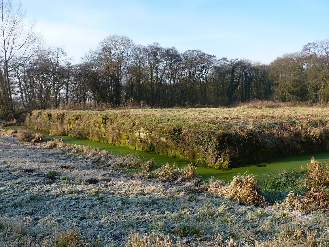Norbury Manor moated site, 8 fishponds and connecting channels