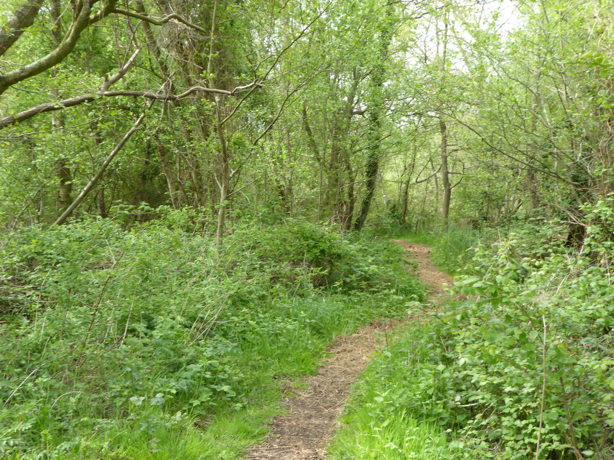 North Cove Nature Reserve