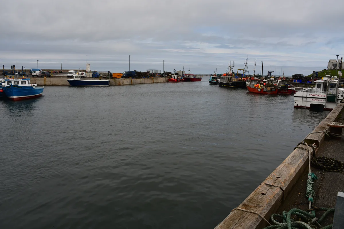 North Sunderland harbour