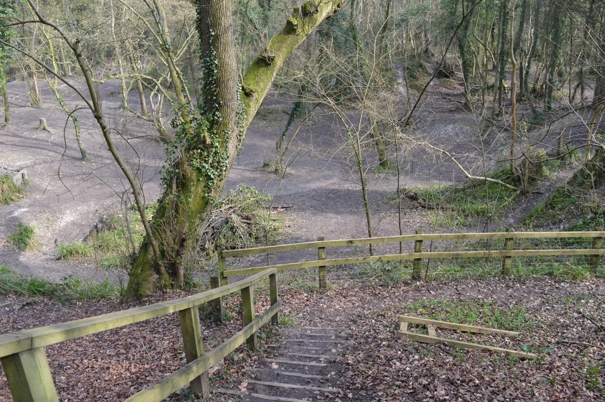 Northmoor Hill Wood